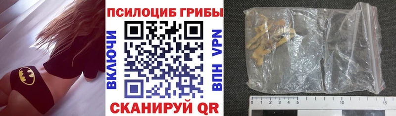 Купить закладки  Высоковск  Галлюциногенные грибы Psilocybe 